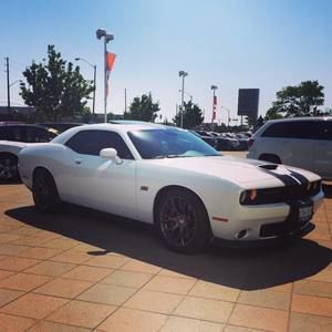 Meet your Posher, Julian